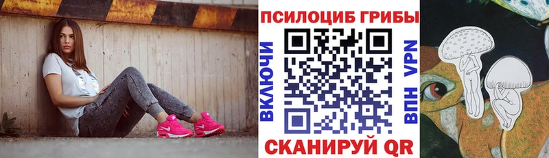закладки  Ворсма  Псилоцибиновые грибы прущие грибы 